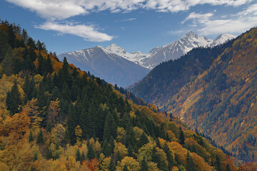 Fall colors in the Caucasus Mountains, Georgia