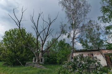 Country village houses in Pripyat, Chernobyl exclusion Zone. Chernobyl Nuclear Power Plant Zone of...