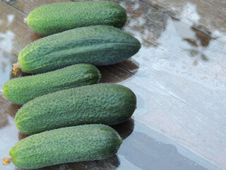 young cucumbers.background glass with green leaves.
