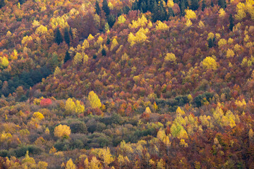 Fall colors in the Caucasus Mountains, Georgia