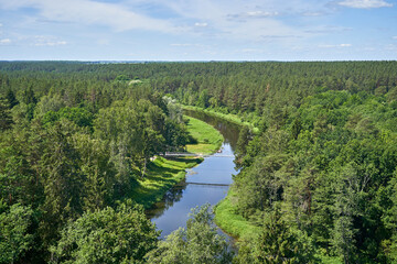 Aerial view of the river in the forest