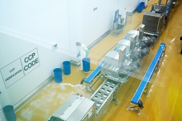 Food assembly line and manufacturing plant in factory