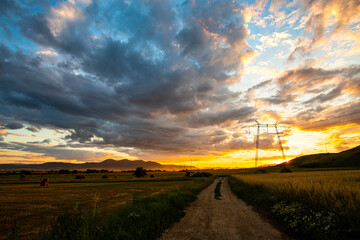 Naklejka na ściany i meble Rural landscape with wheat field at the sunset