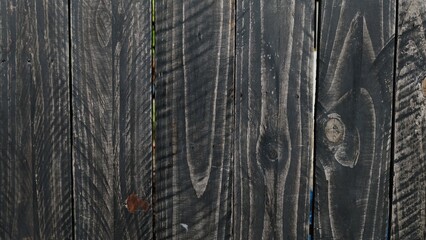 Fototapeta premium In selective focus of black wood sheet with a nature skin pattern for background texture 
