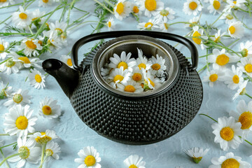From above rustic pot of chamomile tea served with fresh flowers on blue background