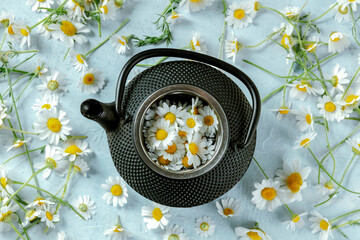 From above rustic pot of chamomile tea served with fresh flowers on blue background