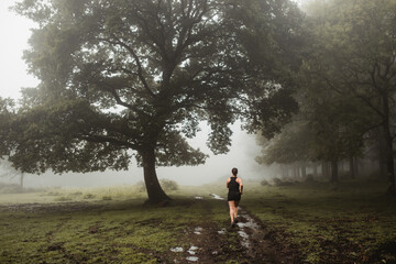 Fit woman running along path in misty forest