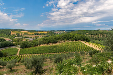 Fototapeta na wymiar Die Weinberge bei Monteriggioni in der Toskana, Italien 