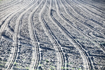 Recently Planted Field