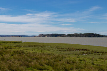 A grassy part of the coastline in the Swedish archipelago.
There is a blue sky and islands in the background