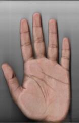hand on a white background