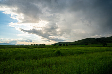 Summer landscape at the sunset after rain