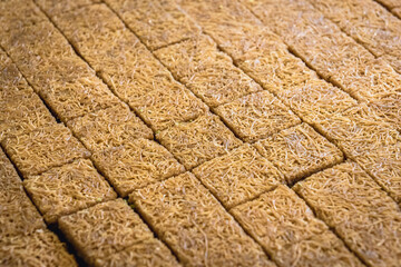Close up on a plate with type of Arabic sweets Baklava in sweet shop in Lebanon