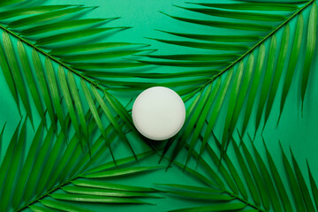 White jar of face cream on a background of tropical palm green leaf. green background, top view, flat lay. Concept of natural cosmetics.