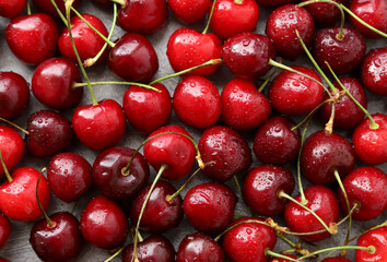 Berry cherry background. Lots of juicy cherries with water drops on the gray surface. Selective focus. The harvest of berries.