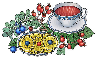 Tea, berries, fruits hand drawn illustration