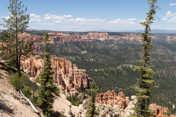 Bryce National Park