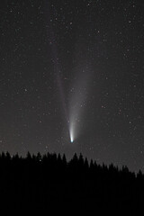 Comet Neowise