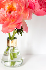 A bouquet of fresh beautiful coral peonies close up on the white background
