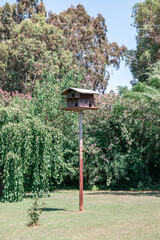 bird feeder in a park