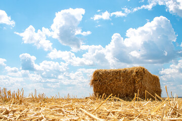 A bale of hay on the background of a beautiful cloudy sky.