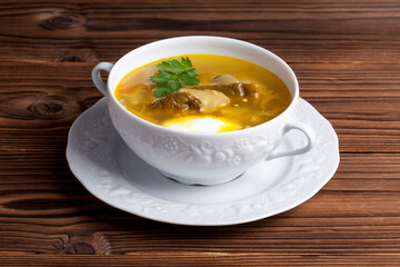 russian soup with meat