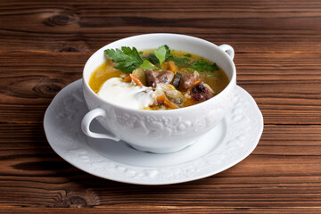 russian soup with meat