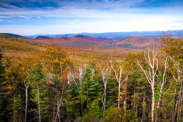 view from whiteface mountain during the autumn fall color season in Adirondack National Park in...