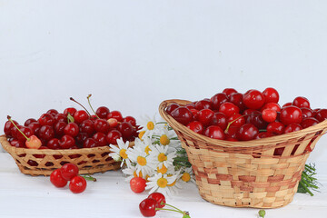 Fresh cherries berries in a basket on a light table, sweet cherries on a wooden light background, selective focus, healthy breakfast, healthy food concept, harvesting