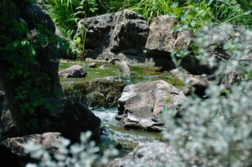 Rocky Stream In The Forest