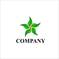 green leaf star logo