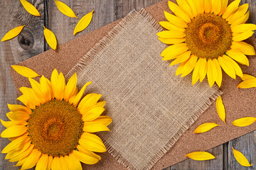 Sunflower on a wooden background.