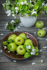 Green apples with apple tree flowers in an old copper dish on a wooden table