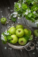 Green apples in a silver dish and flowering branches of an apple tree in a vase on an old wooden table