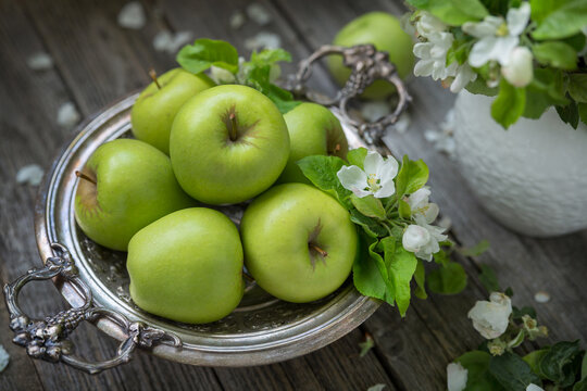 Green apples in a silver dish and flowering branches of an apple tree in a vase on an old wooden table