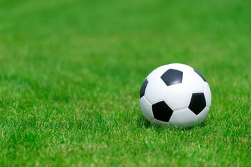 Fototapeta na wymiar Black and white soccer ball on green soccer pitch. Team sport concept.