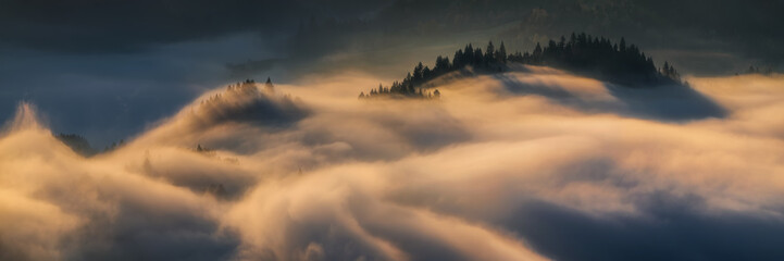 Obraz premium Pieniny foggy trees