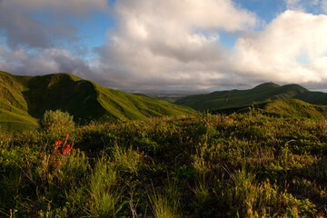Scenic View of Rolling Green Hills