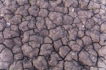 Waterless and deep textured dry riverbed in the English countryside caused by the hot climate and evaporation wide angle background texture. Representing global warming and environmental concerns