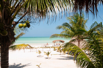 tropical garden beachfront ocean view, all in one, Holbox island, Mexico - a perfect place to relax