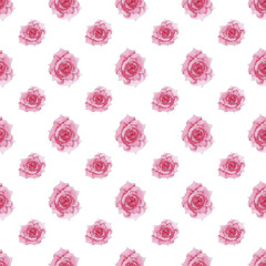 Seamless watercolor pink rose pattern