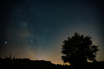 Fototapeta na wymiar Milky way with tree silhouette near Prague in Czech republic