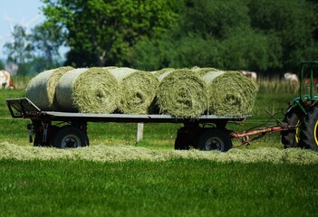 Tractor in the field under a blue sky