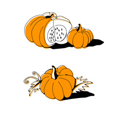 hand-drawn vector illustration of autumn pumpkins. Black outline on the orange spots. For menu, books and web