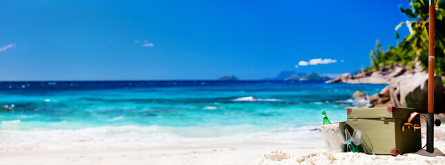 Tropical beach picnic