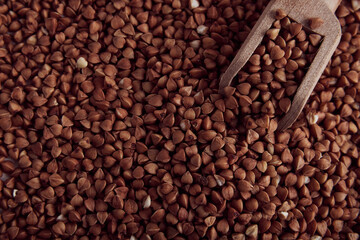 buckwheat. fresh buckwheat. dry buckwheat background. buckwheat texture