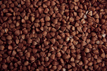 buckwheat. fresh buckwheat. dry buckwheat background. buckwheat texture