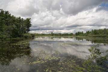 A beautiful lake on a summers day