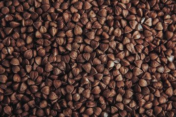 buckwheat. fresh buckwheat. dry buckwheat background. buckwheat texture
