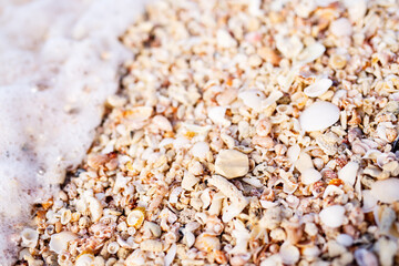 Shore with sea wave close up